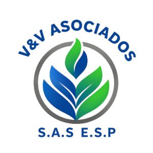 vyvasociadossasesp.com